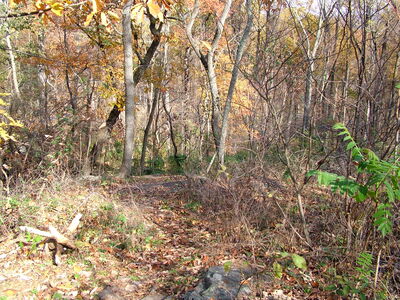 DSCF3922.JPG