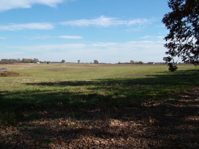 DSCF3925.JPG