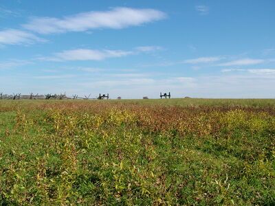 DSCF3927.JPG