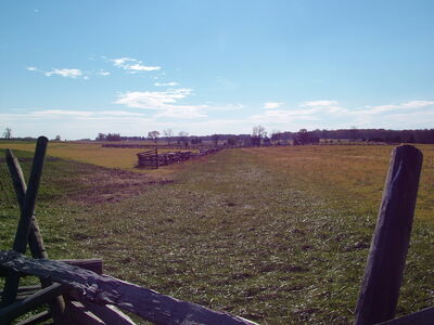 DSCF3929.JPG