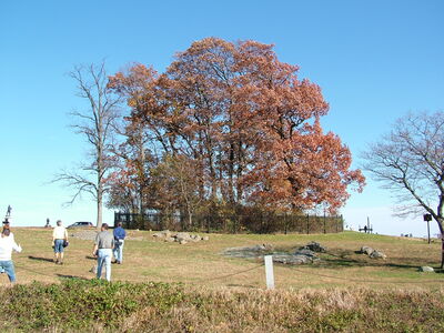 DSCF3933.JPG