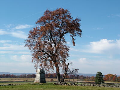 DSCF3937.JPG