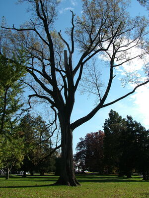 DSCF3939.JPG