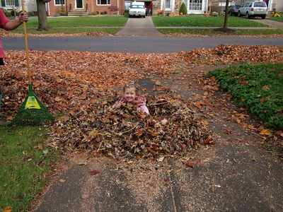 DSCF3971.JPG