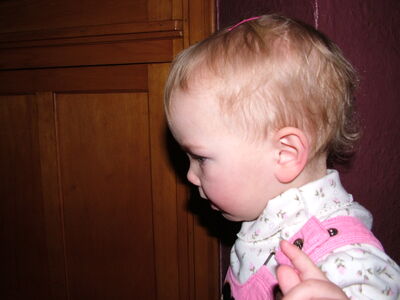 DSCF4117.JPG