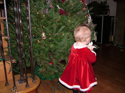 DSCF4118.JPG