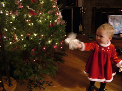 DSCF4120.JPG