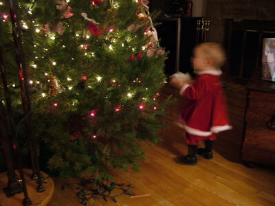 DSCF4121.JPG