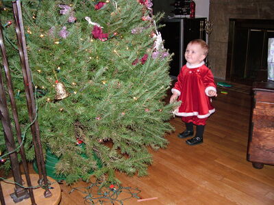 DSCF4122.JPG