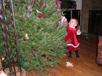 DSCF4123.JPG