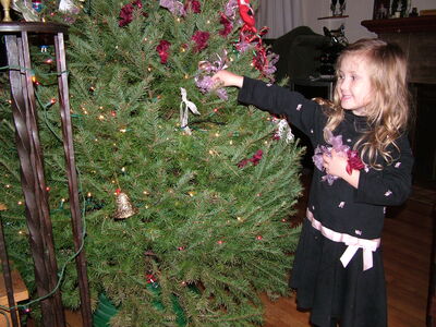 DSCF4130.JPG