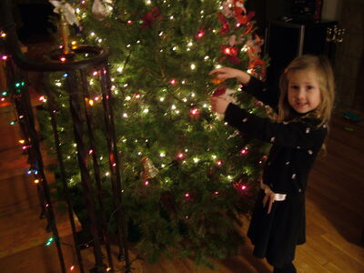DSCF4132.JPG