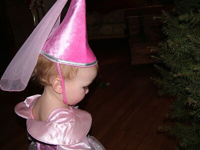 DSCF4350.JPG