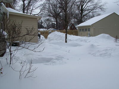 DSCF4415.JPG