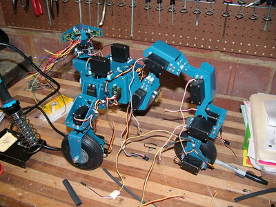 DSCF4554.JPG