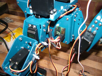 DSCF4556.JPG