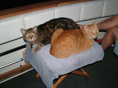 DSCF4585.JPG