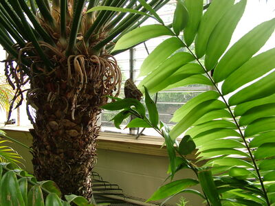 DSCF4593.JPG