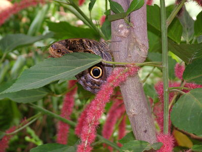 DSCF4595.JPG