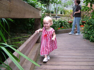 DSCF4597.JPG