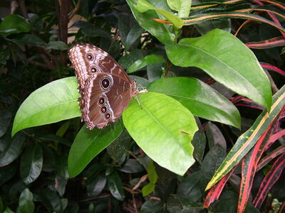 DSCF4598.JPG