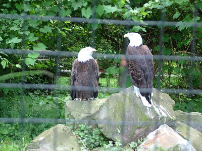 DSCF4599.JPG