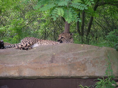 DSCF4602.JPG