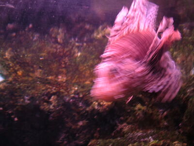 DSCF4606.JPG