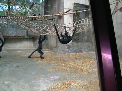 DSCF4608.JPG