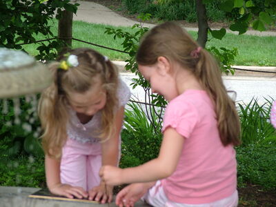 DSCF4615.JPG