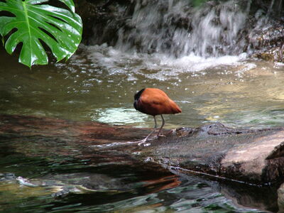 DSCF4618.JPG