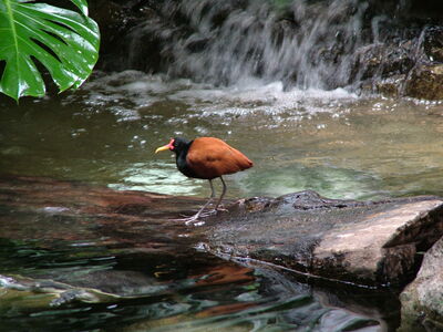 DSCF4619.JPG