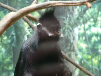 DSCF4623.JPG