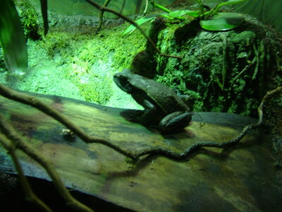 DSCF4628.JPG