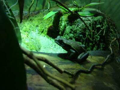 DSCF4629.JPG
