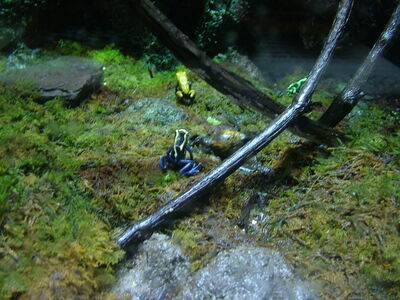 DSCF4630.JPG