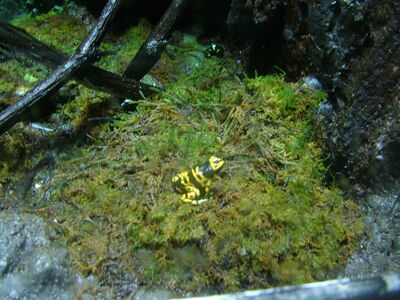 DSCF4631.JPG