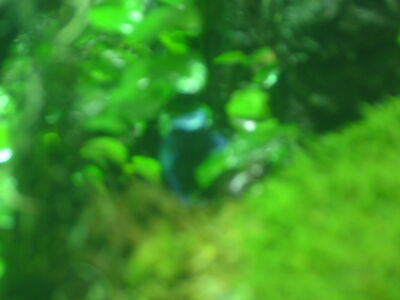 DSCF4632.JPG