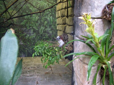 DSCF4635.JPG