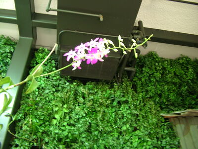 DSCF4637.JPG