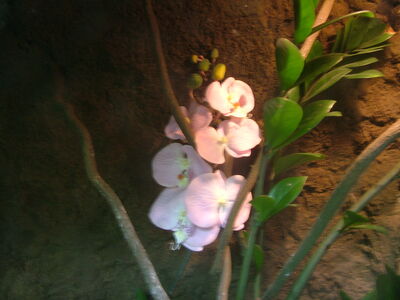 DSCF4638.JPG