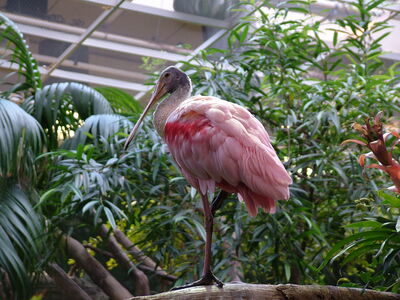 DSCF4642.JPG