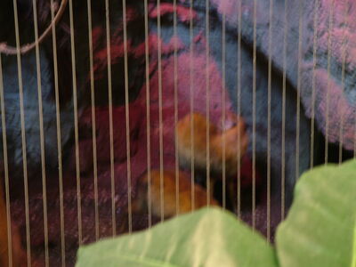 DSCF4645.JPG