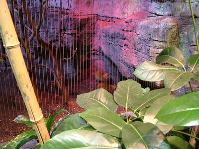 DSCF4646.JPG
