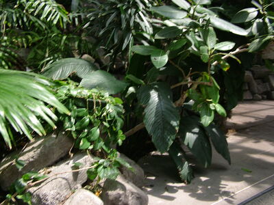 DSCF4648.JPG