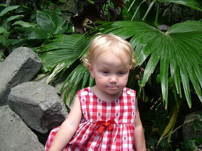 DSCF4649.JPG