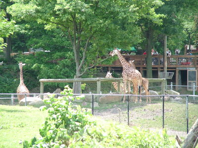DSCF4651.JPG