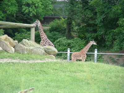 DSCF4653.JPG