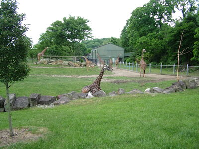 DSCF4654.JPG