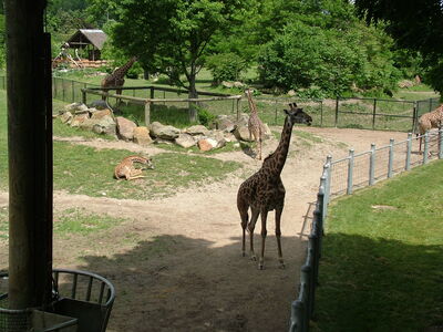 DSCF4656.JPG